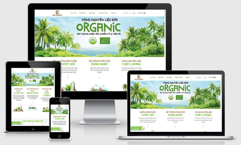 Mẫu website nguyên liệu dừa Oganic
